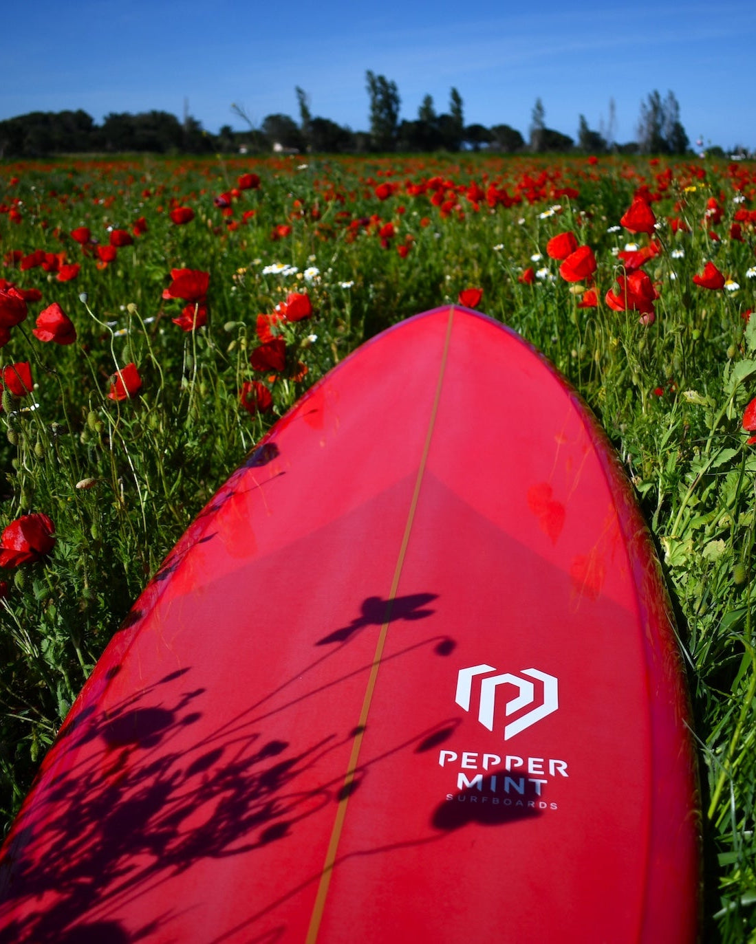 Half Moon 5'11 Raspberry