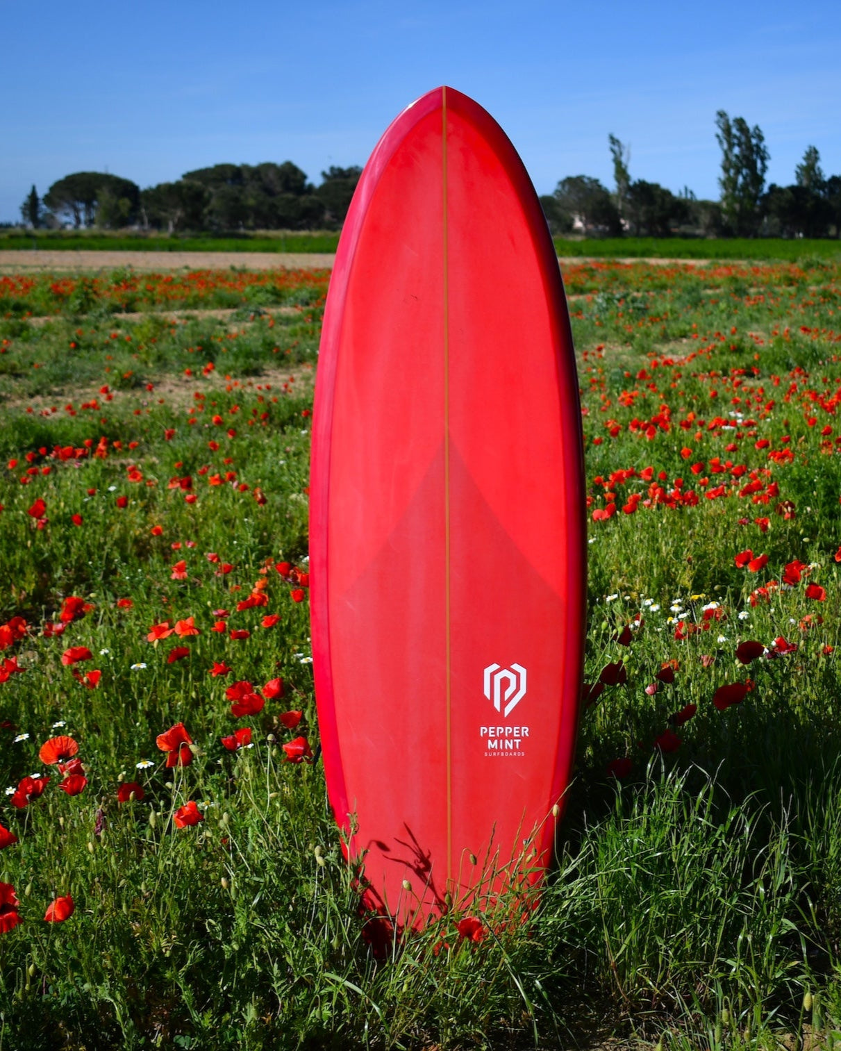 Half Moon 5'11 Raspberry