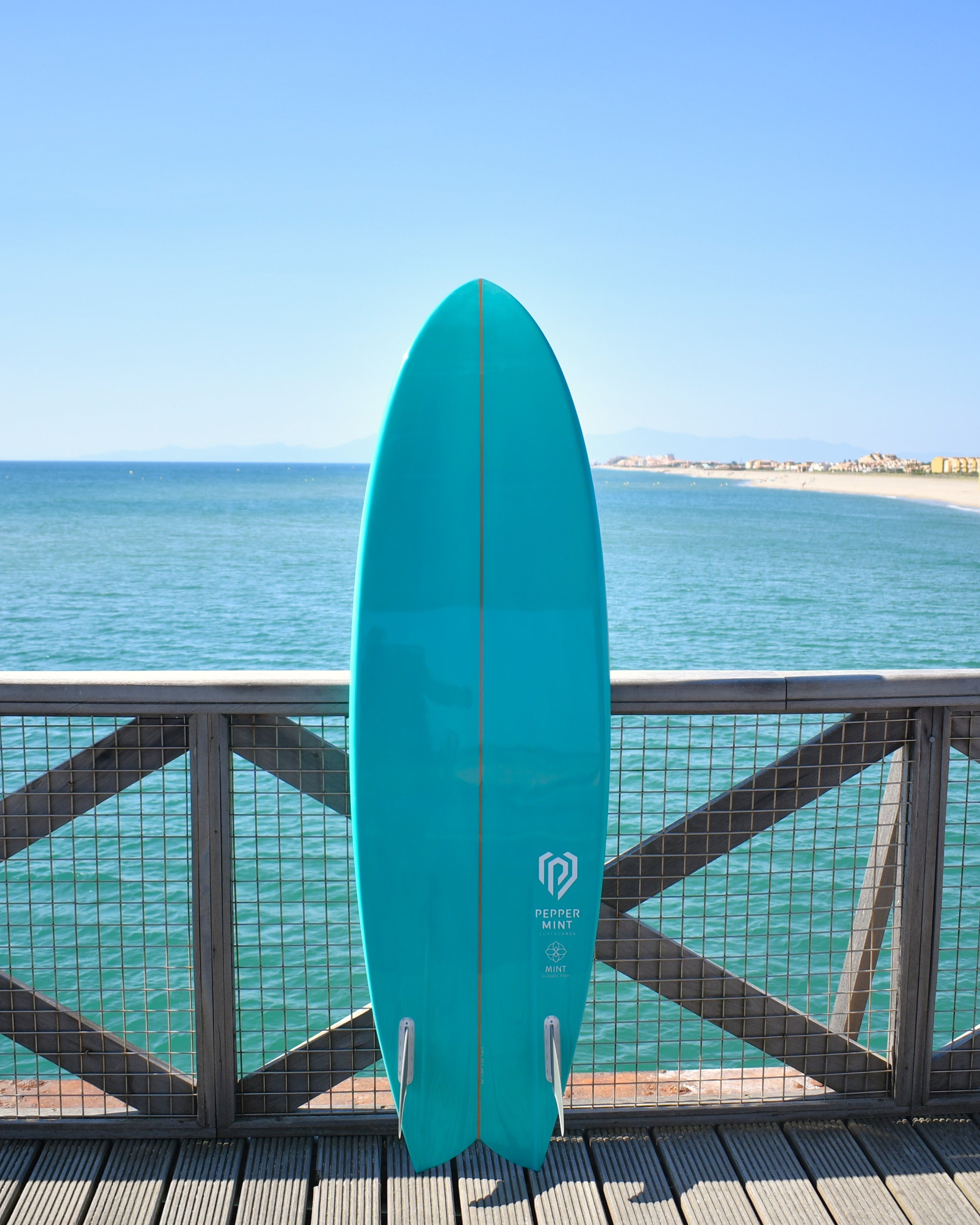 Classic Fish 6'6" Mint