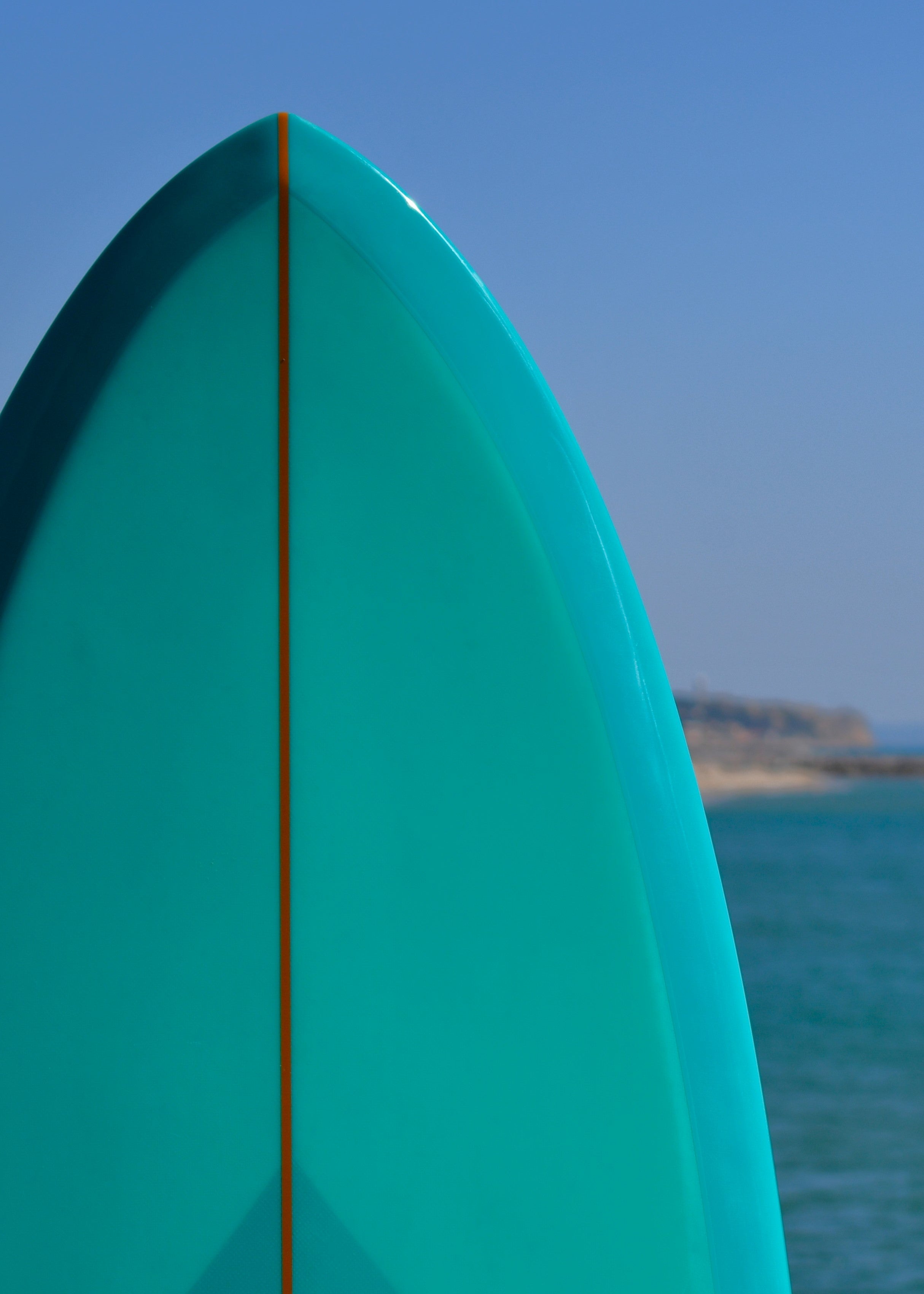 Classic Fish 6'6" Mint