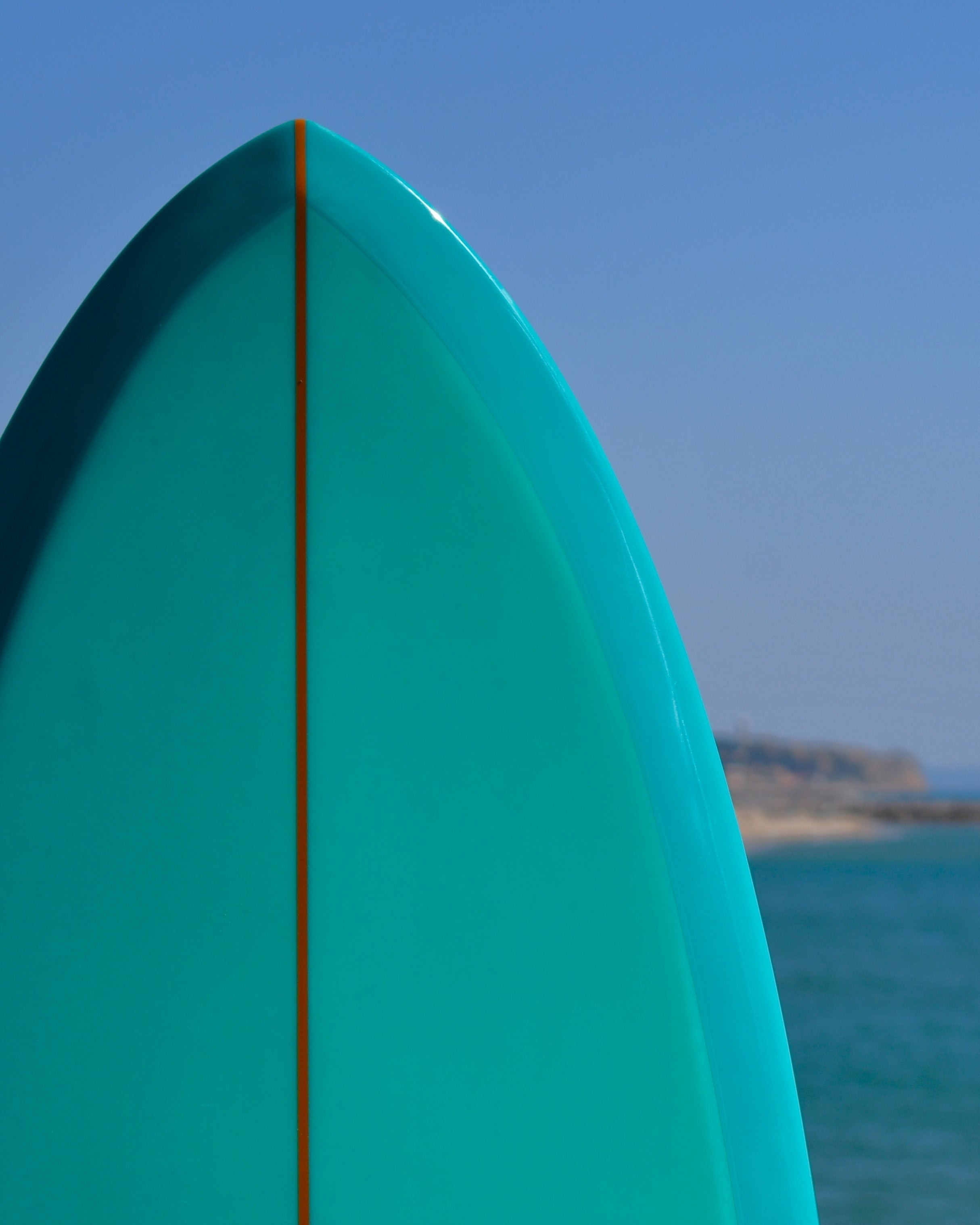 Classic Fish 6'6" Mint