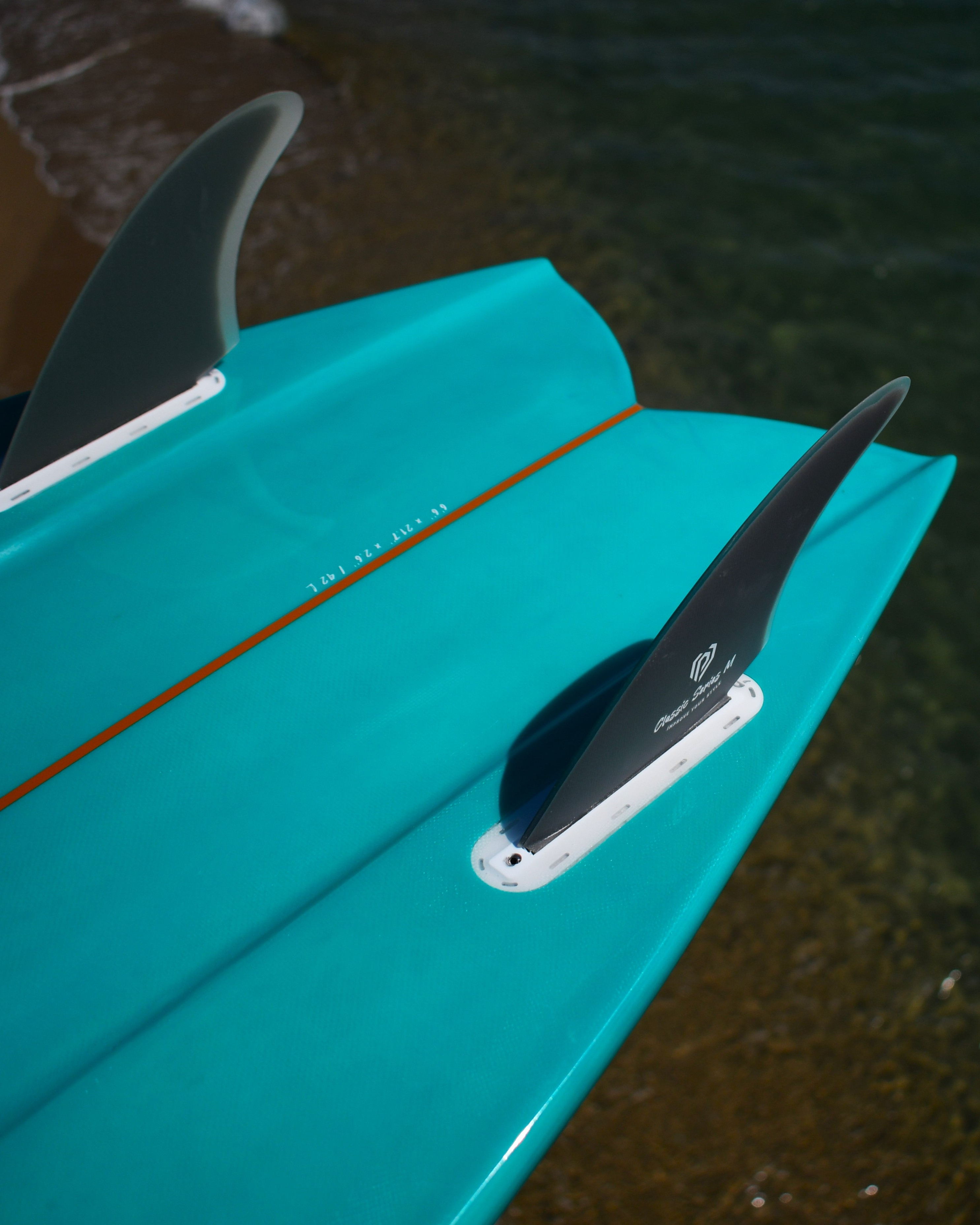 Classic Fish 6'6" Mint