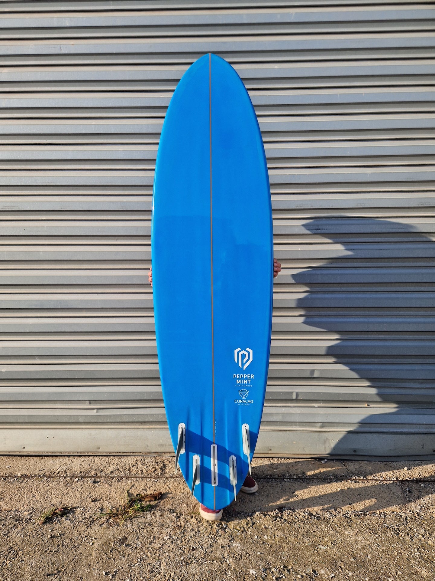Classic Fish 6'6" Mint