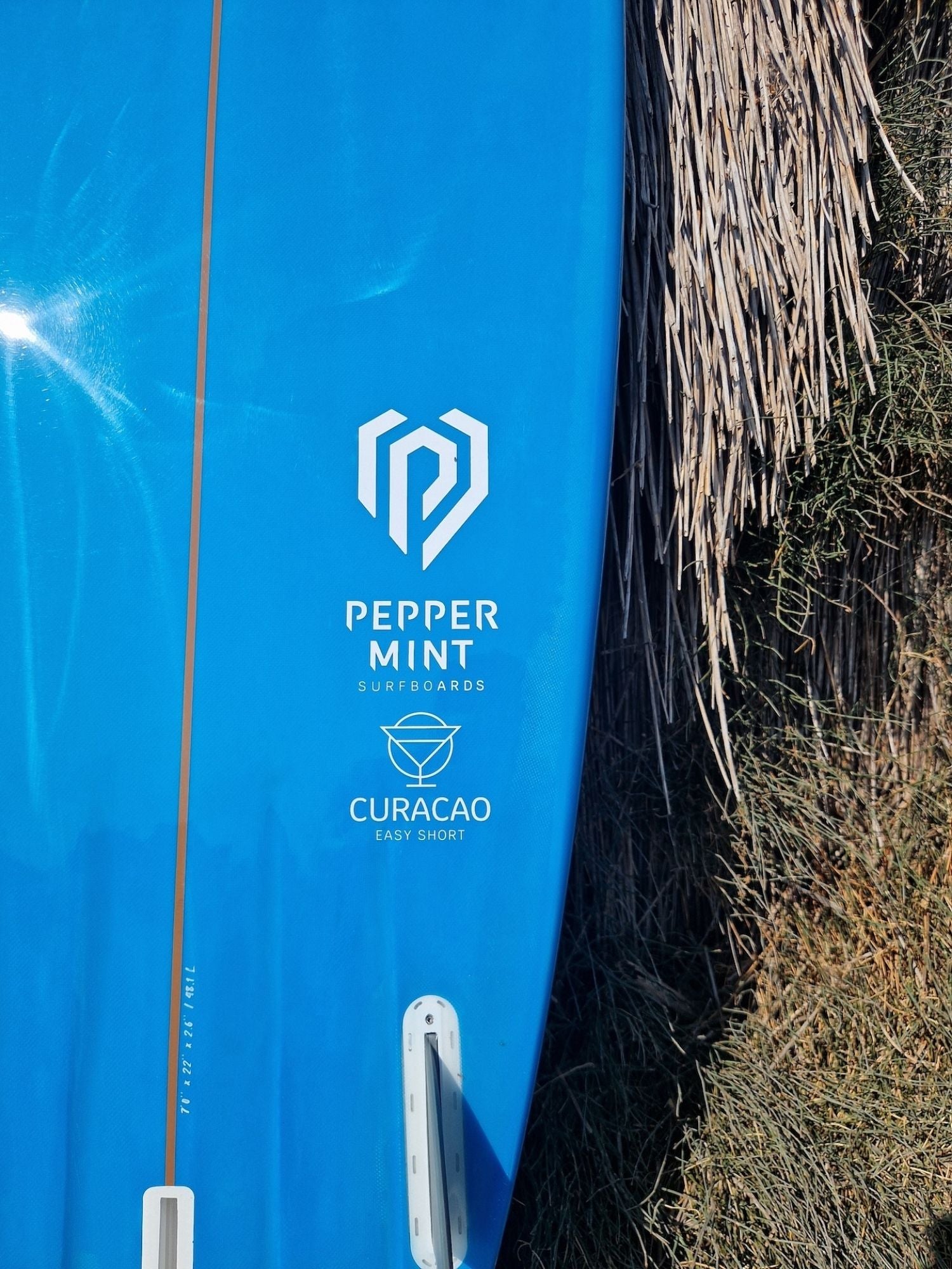 Easy Short 7'0" - Tinted Resin Surf