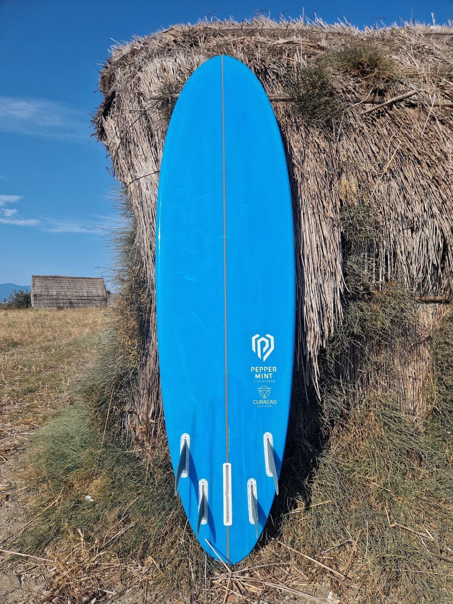 Easy Short 7'0" - Tinted Resin Surf