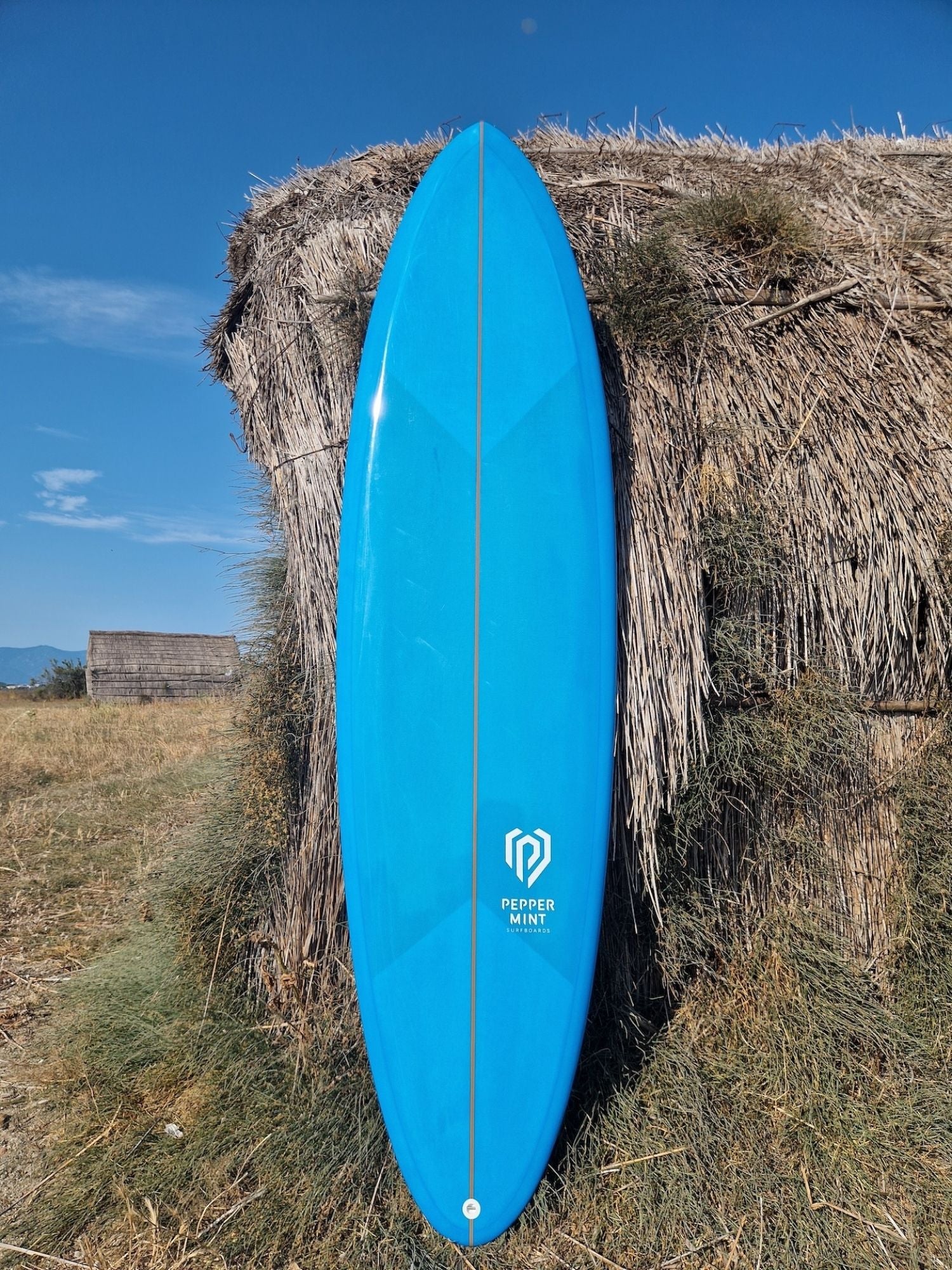 Easy Short 7'0" - Tinted Resin Surf