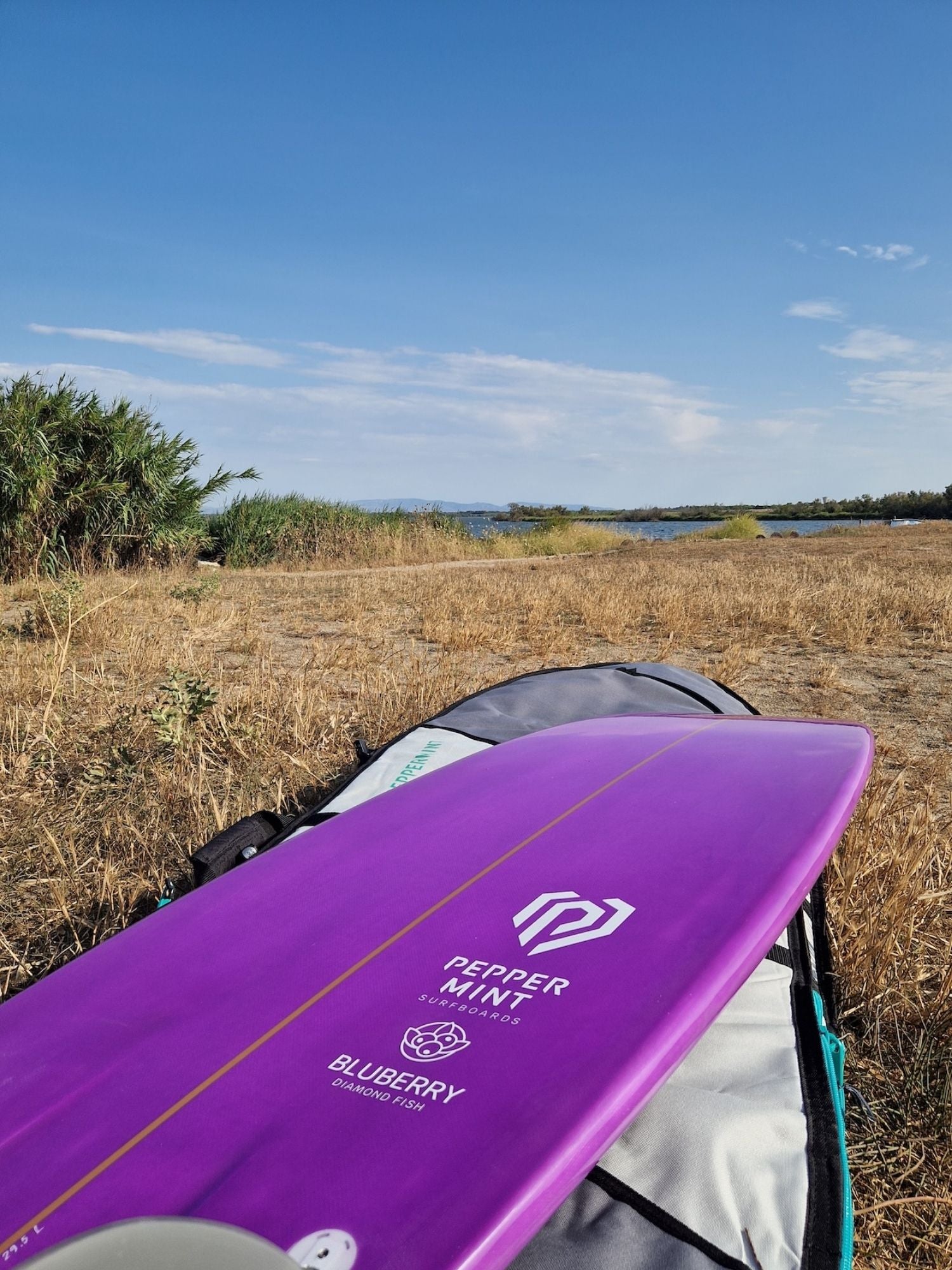 Diamond Fish 5'8 Bluberry