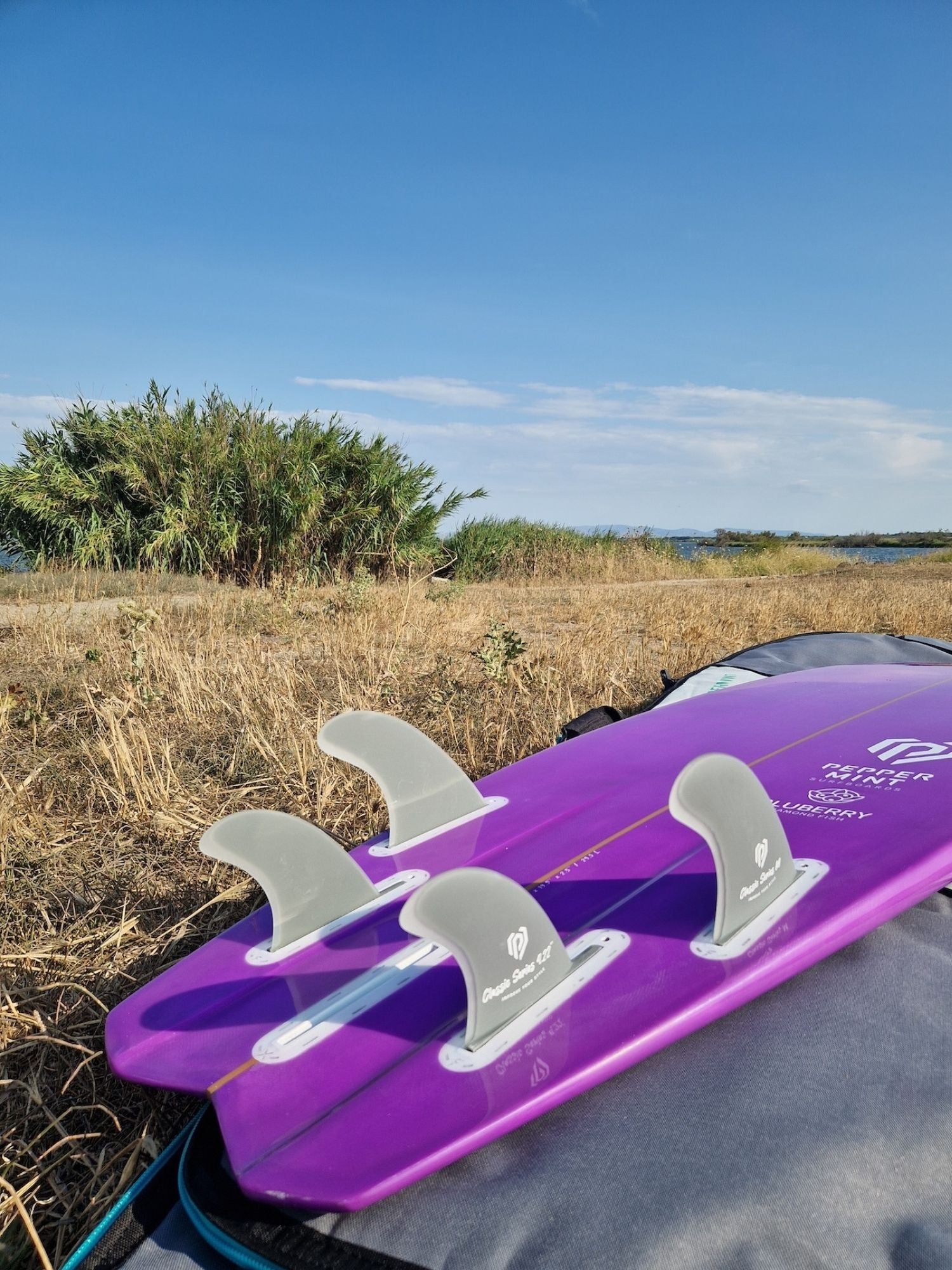 Diamond Fish 5'8 Bluberry