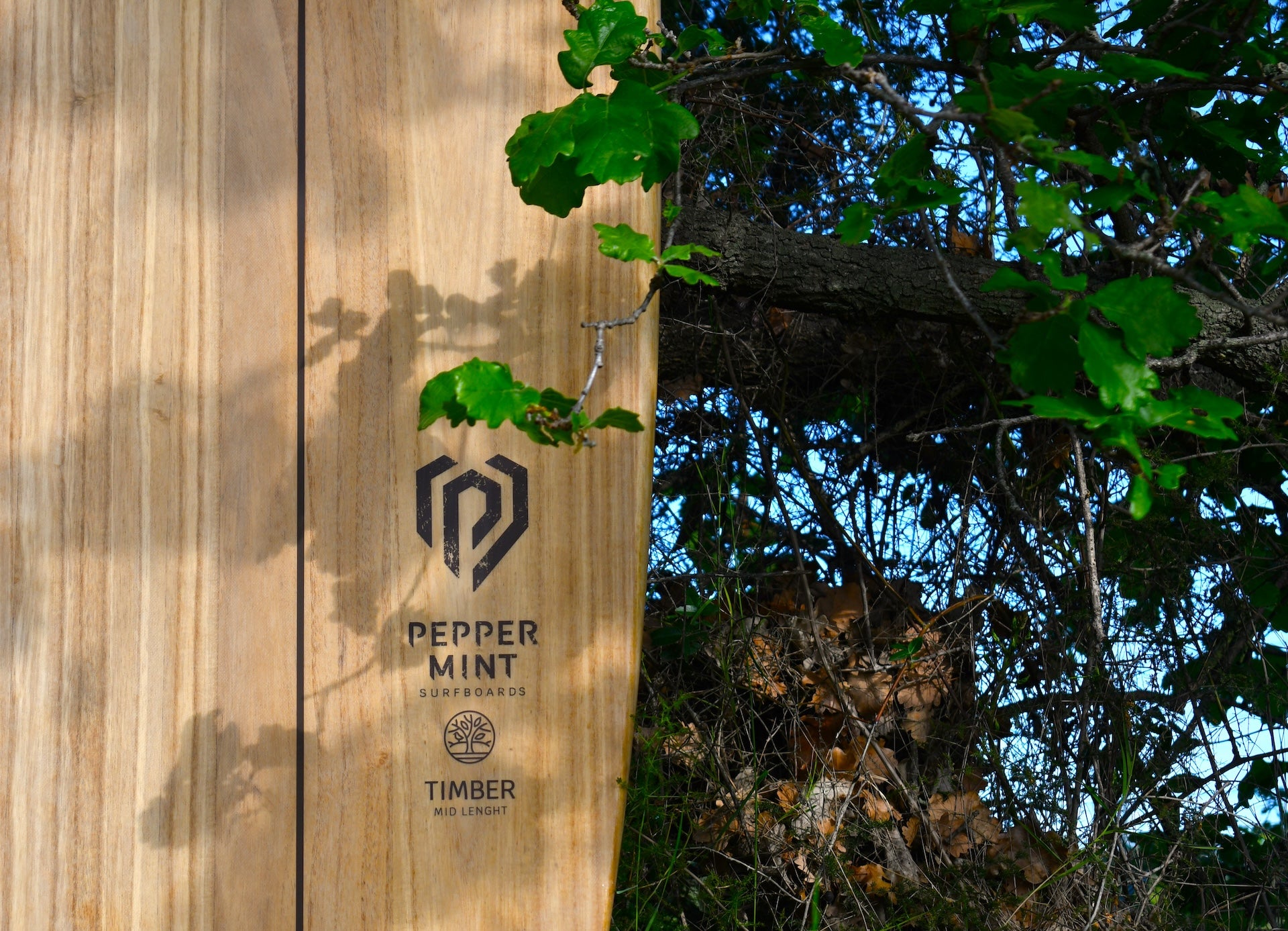 une planche de surf en bois dans la nature avec un arbre en fond
