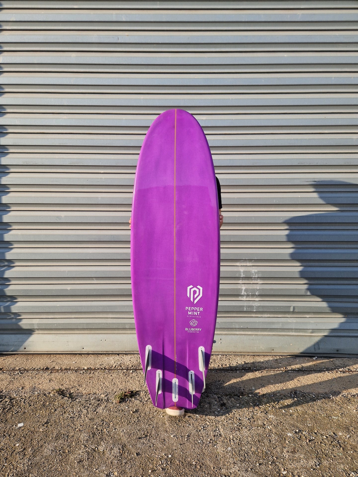 Diamond Fish 5'8 Bluberry