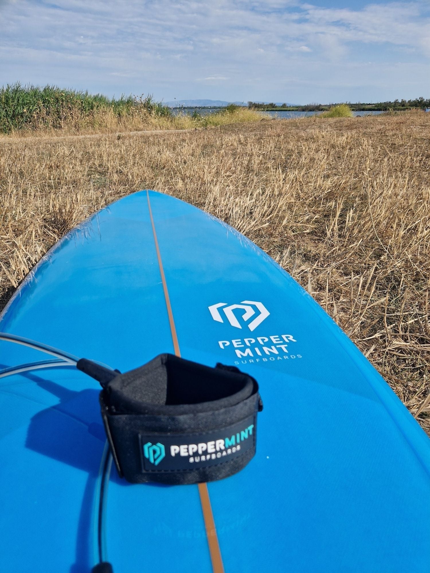 Leash Surf 6' Peppermint