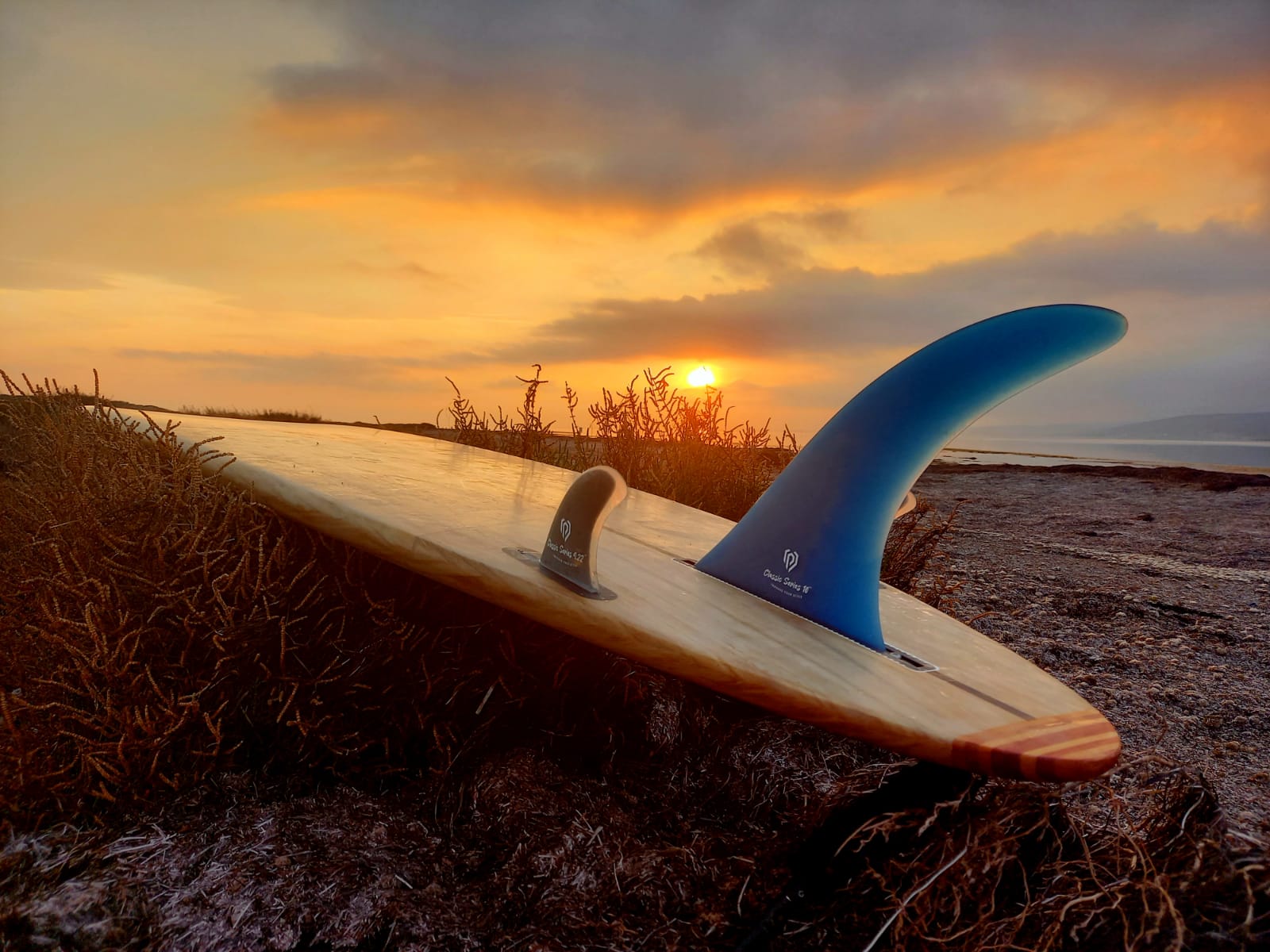 Aileron Surf - Central Blue Classic 10''