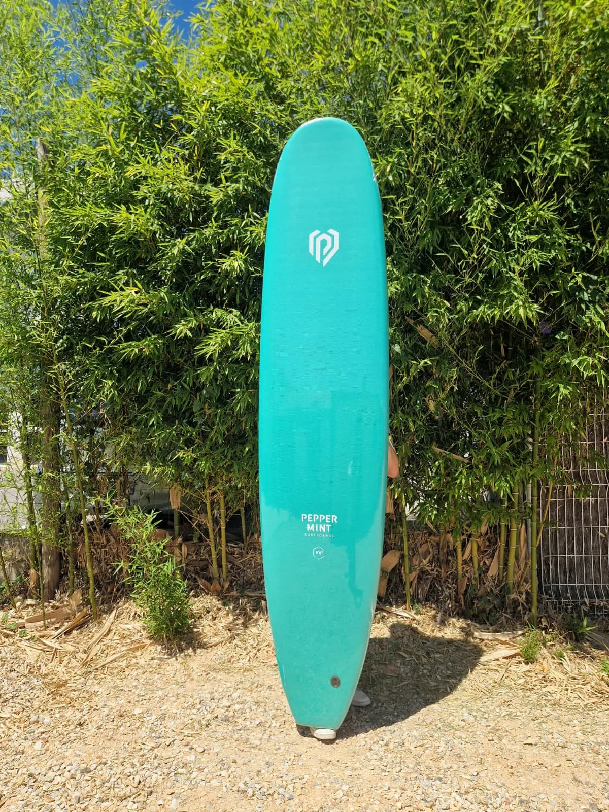 Smoothy Mint Longboard 9'1 — IXPE - Smoothy Mint 9'0 Cruiser gallery 6